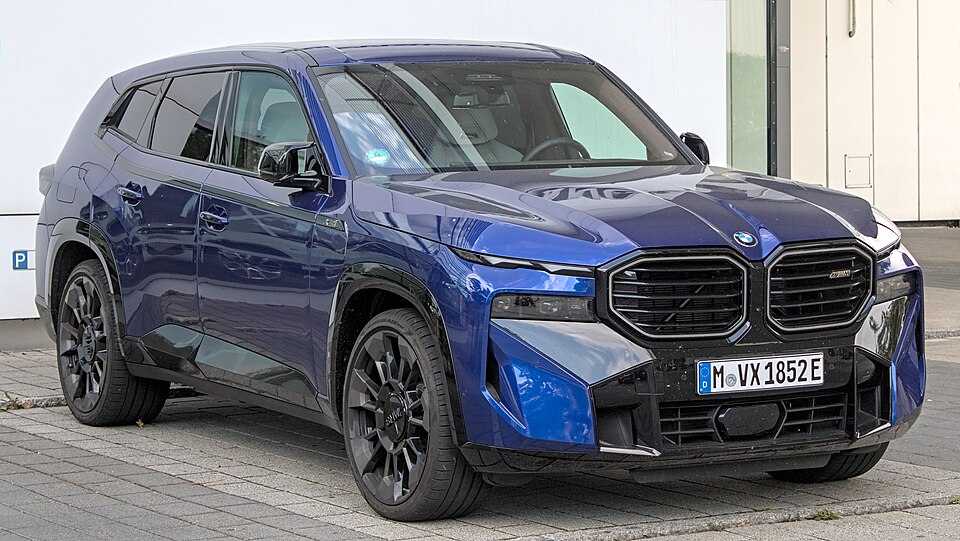 BMW XM car — UK survivor photo