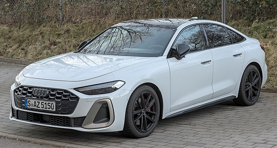 AUDI A5 car — UK survivor photo