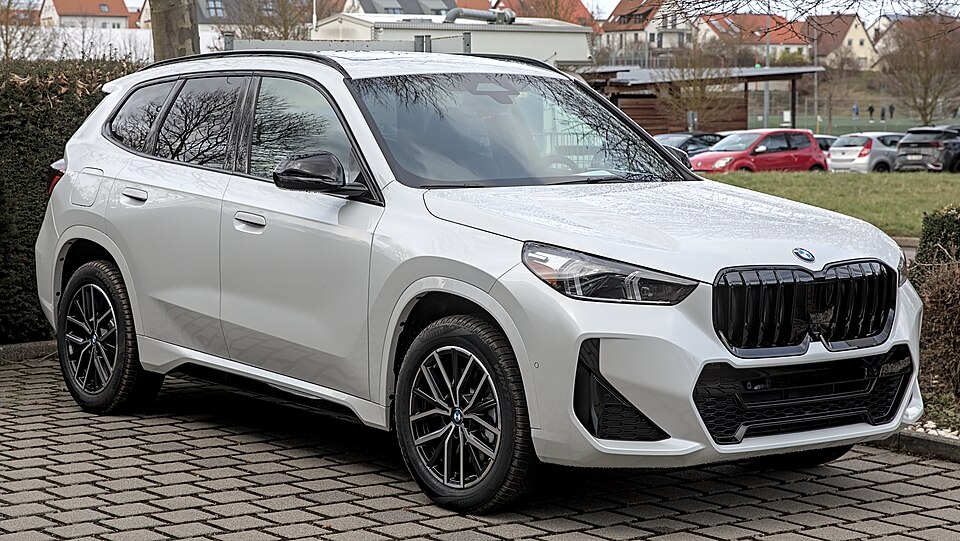 BMW X1 car — UK survivor photo
