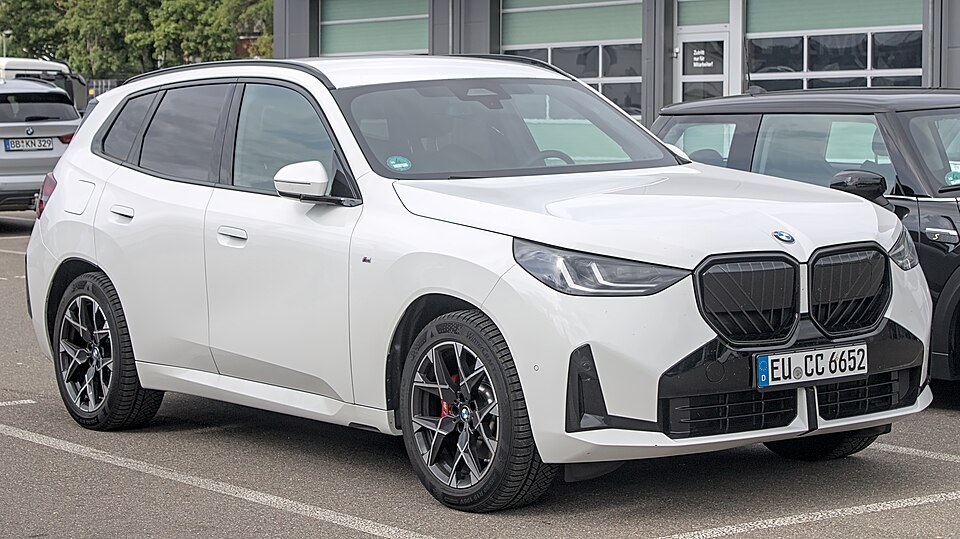 BMW X3 car — UK survivor photo
