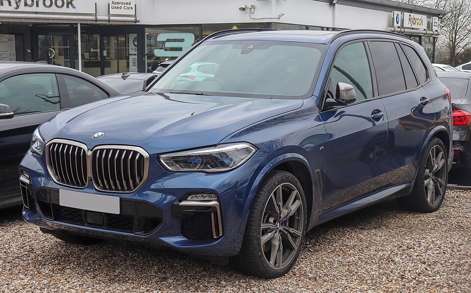 BMW X5 car — UK survivor photo