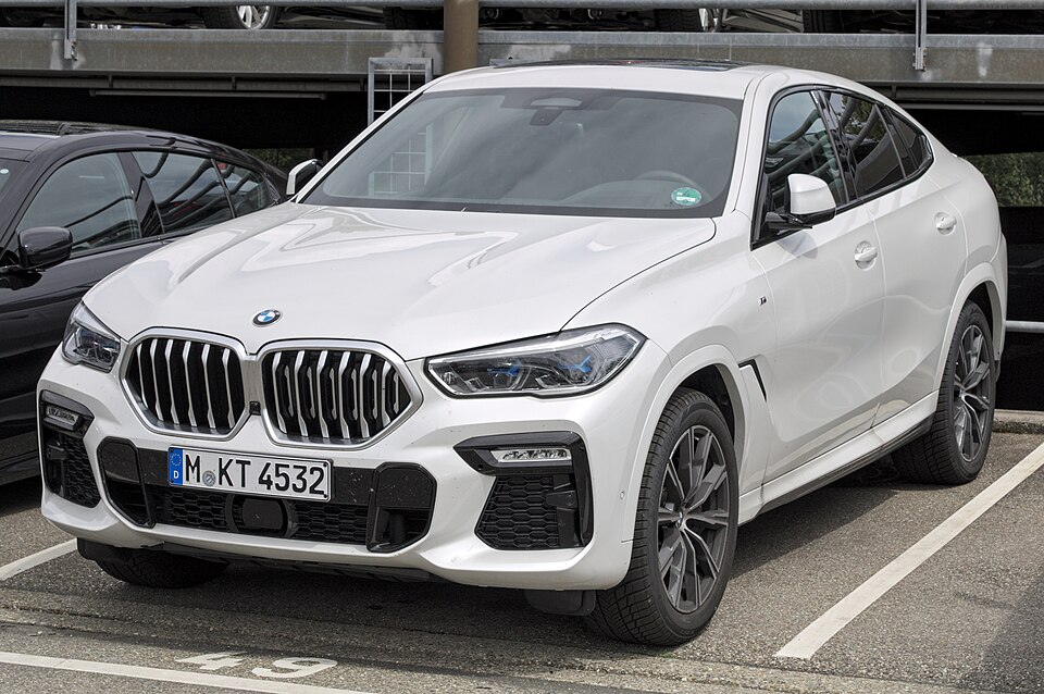 BMW X6 car — UK survivor photo