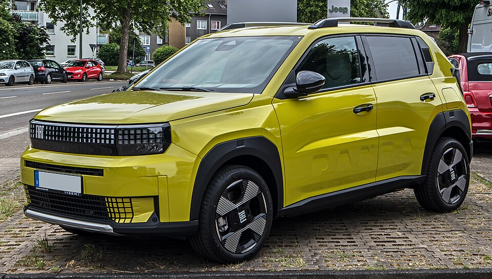 FIAT PANDA car — UK survivor photo