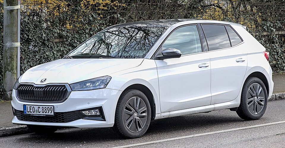 SKODA FABIA car — UK survivor photo