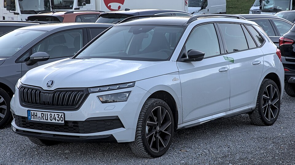 SKODA KAMIQ car — UK survivor photo