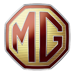 MG 4 car — UK survivor photo