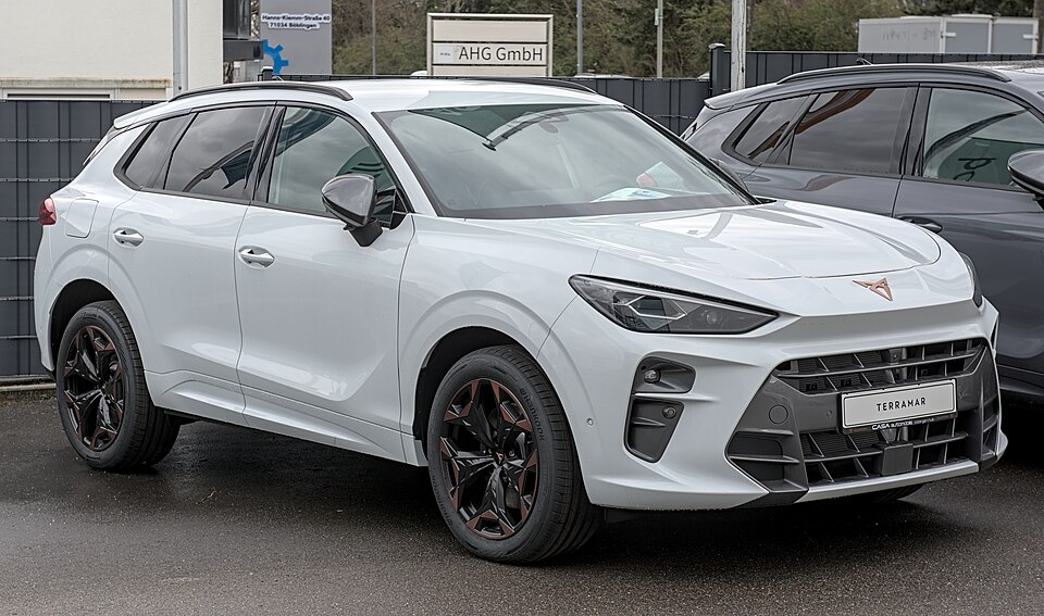 CUPRA TERRAMAR car — UK survivor photo