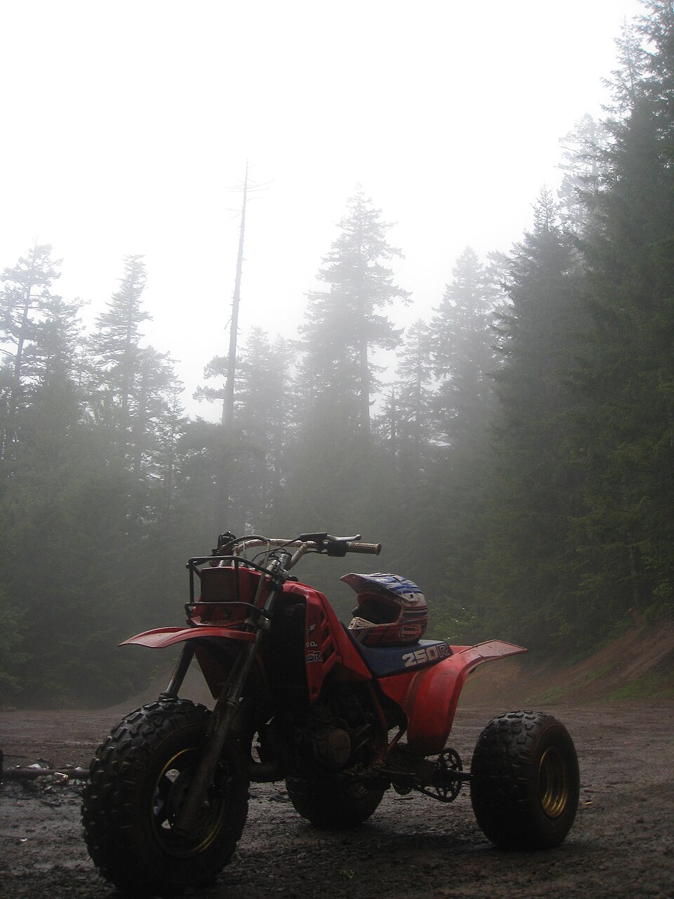 HONDA TRX250R car — UK survivor photo