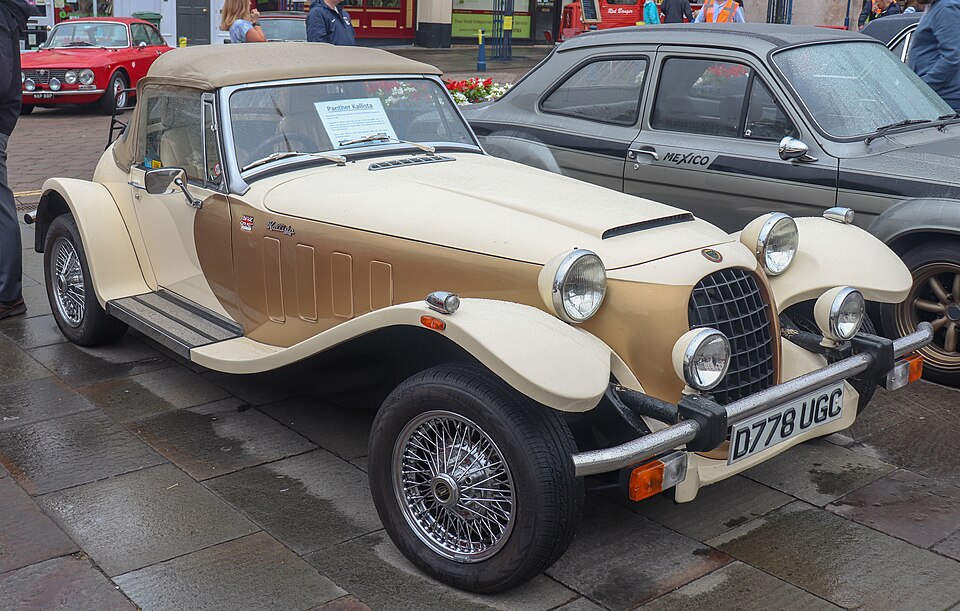 PANTHER KALLISTA car — UK survivor photo