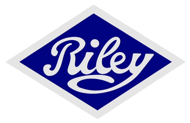 RILEY LYNX car — UK survivor photo